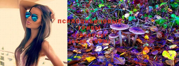 винт Алексин
