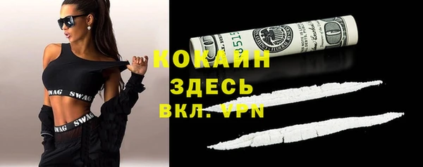 мяу мяу мука Алексеевка