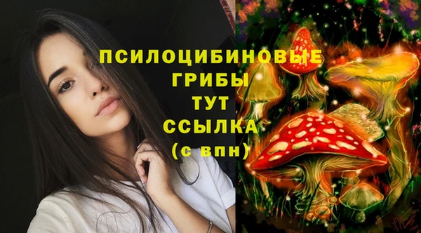 мяу мяу мука Алексеевка