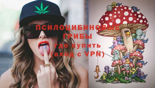 мяу мяу мука Алексеевка